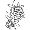 Line Art Rose
