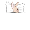 Pyjama pyjama lapin