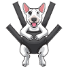 Bullterrier miniature en sac
