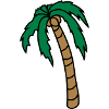 Hanging Palm Design