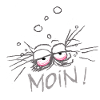 MOIN!