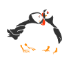 Puffin paroge-plongeur cadeau oiseau