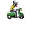 Scooter Mofa Moped Roller