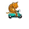 Scooter scooter mobylette scooter