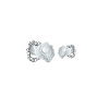 Papa