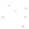 Hair stylist