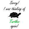 Turtle Turtle
