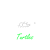 Tortues