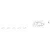 Turtle Turtle