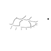 Turtle Turtle