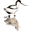 East Frisia Collection: Saber Beaks
