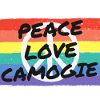 Peace. Love. Camogie