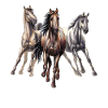 galloping horses