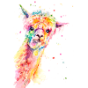 Kleurrijke Alpaca Maurice