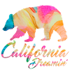 California dream rose