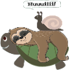 Snigel sloth sköldpadda