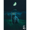 Kittööön