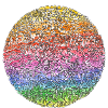 Circle Culture / Arc-en-ciel / Champignons