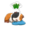 Guinea pig dreams of cucumbers