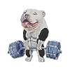 Muscle Bully