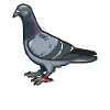 Comic Funny Dove Fugl Gave Idé Due