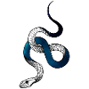 Serpent cosmos