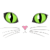 Cat's eyes