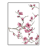 Cherry Blossoms Floral Design