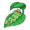 Caterpillar with leaf as parasol