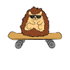 Hedgehog Skateboard Drôle de hérisson