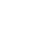 Skeleton Head Skull Skeleton
