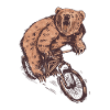 CYCLIST BEAR