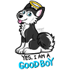 Good Boy Husky