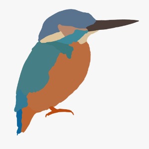 Eisvogel