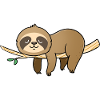 Sloth sleeps on a branch