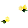 Limone Light