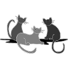 Cats