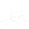 Funny Cat