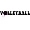 volleyball