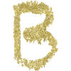 Letter B Gift Name