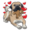 Cane Kangal con pel pelati e molti cuori