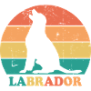 Labrador Dog Dog