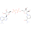 Nicotinamid-Adenin-Dinukleotid-Molekül - Farbe
