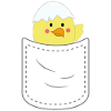 Mignon poche poitrine