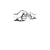 Papa
