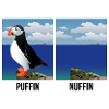 Puffin Nuffin