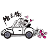 Warm wedding cart for couples