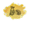Guépard