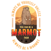 marmot, marmot squirrel, animal,