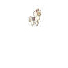 lama